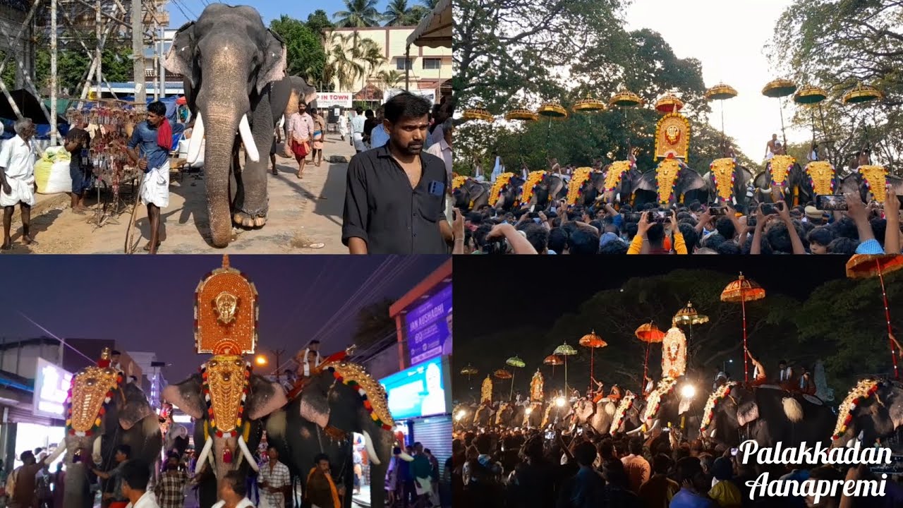 മണപ്പുള്ളിക്കാവ് വേല മഹോത്സവം 2025 🔥 || Manapullikavu Vela Maholsavam 2025