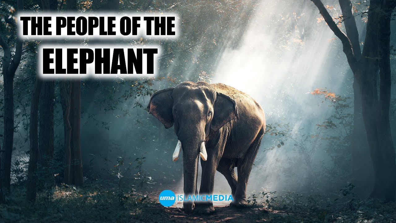 Stories from the Holy Quran the People of the Elephant by Sheikh Shady Alsuleiman