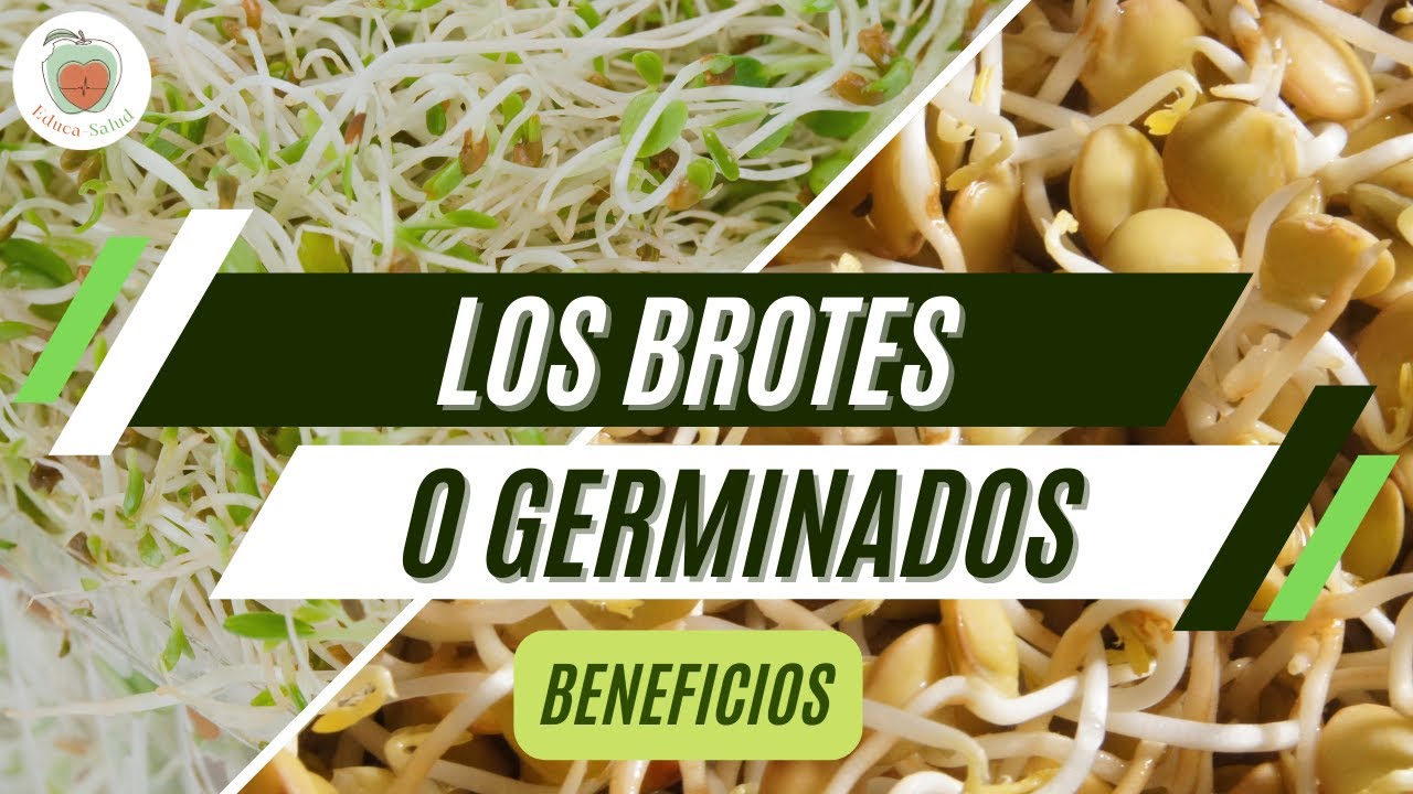 BROTES GERMINADOS. Beneficios para la Salud