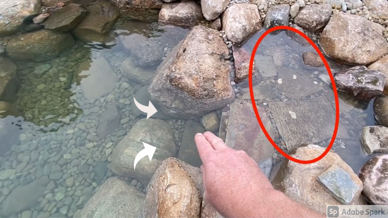 Natural Skimmers for Ponds, Intake Bay: Commonly Asked Questions