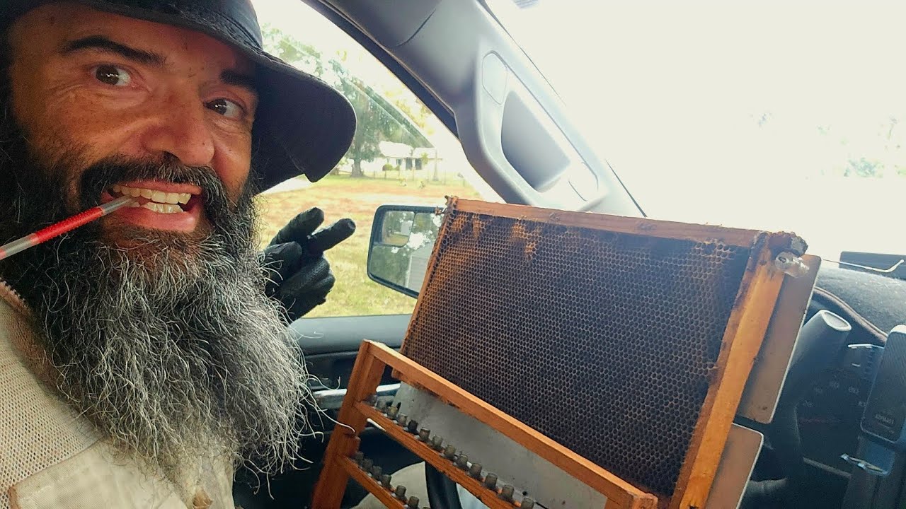 January Queen Grafting 