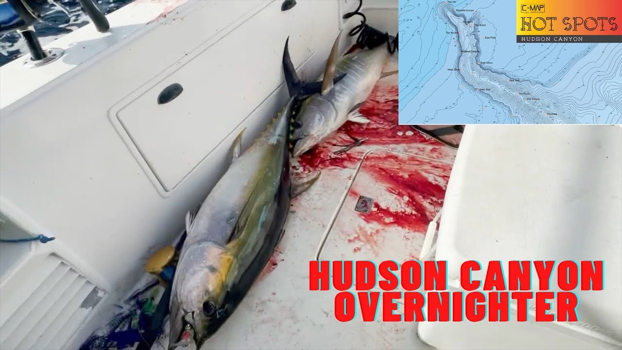 Hudson Canyon Overnight Tuna Trip