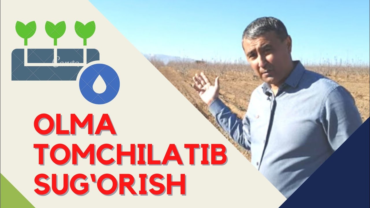 ОЛМА БОҒИНИ ТОМЧИЛАТИБ СУҒОРИШ, ЭКИШ #jizzax #olma