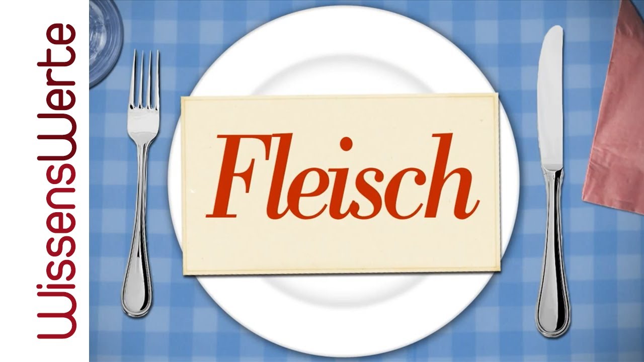 WissensWerte: Fleisch und Nachhaltigkeit