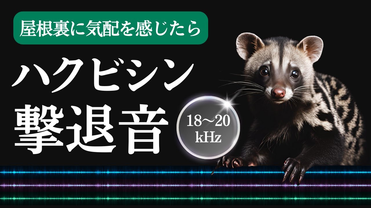 ハクビシン撃退音(10時間)。ハクビシンが嫌がる音。人に聞こえづらい高周波音(18〜20kHz)