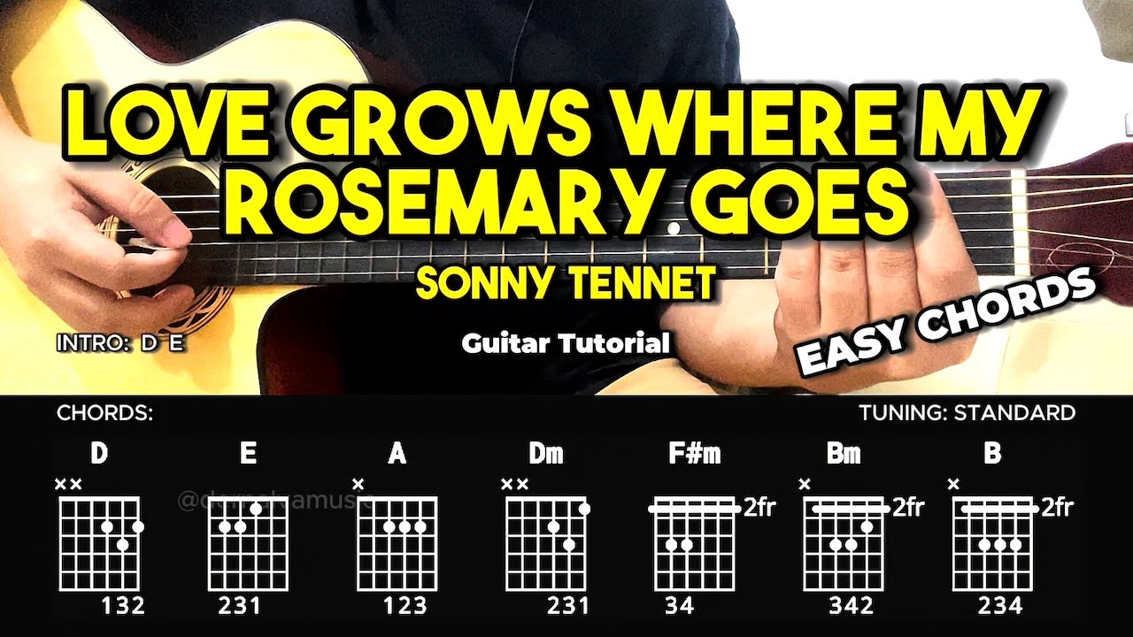 Love Grows (Where My Rosemary Goes) - Sonny Tennet | Guitar Chords Tutorial For Beginners (LYRICS)