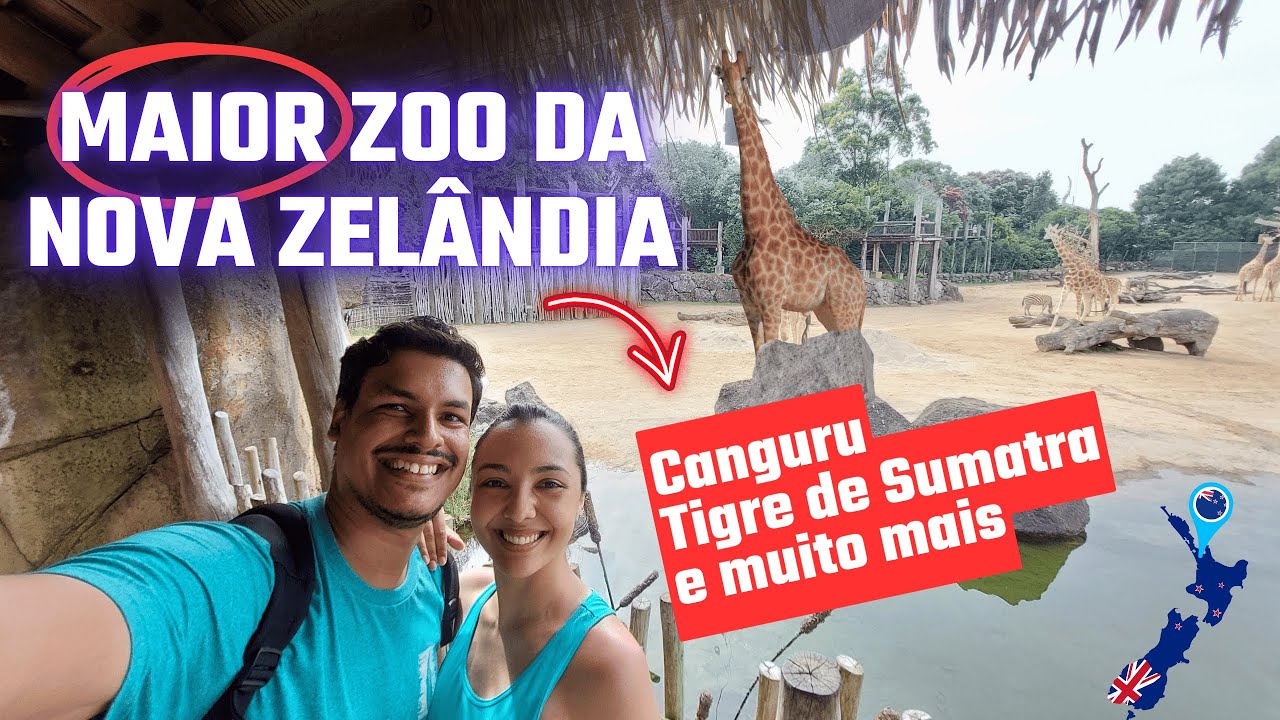 VIMOS CANGURUS 🦘 PELA 1ª VEZ | Tartaruga gigante, panda vermelho, mico-leão-dourado e MUITO MAIS!