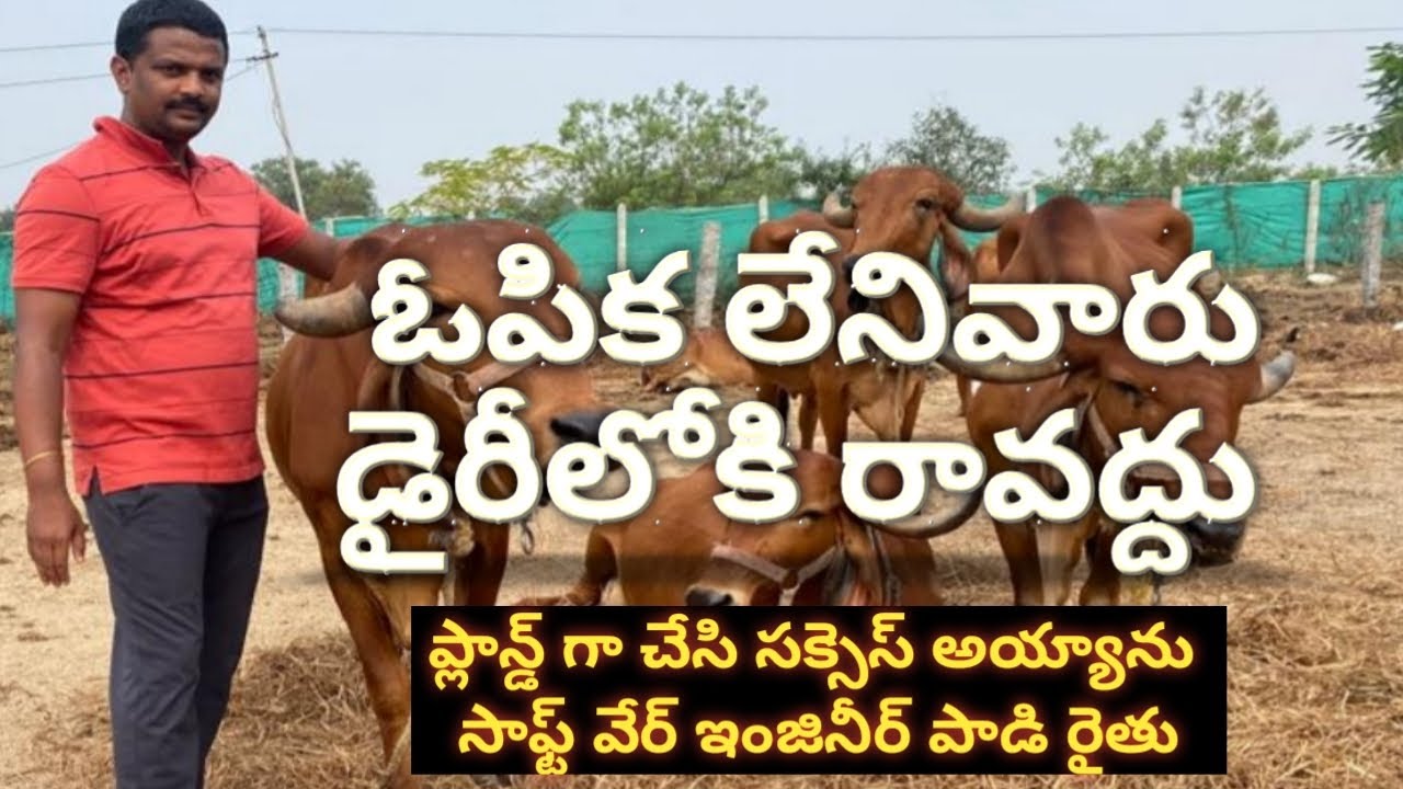 Experiences of  Santhosh Reddy, a model dairy farmer for success | Dr. Madan kumar Vet