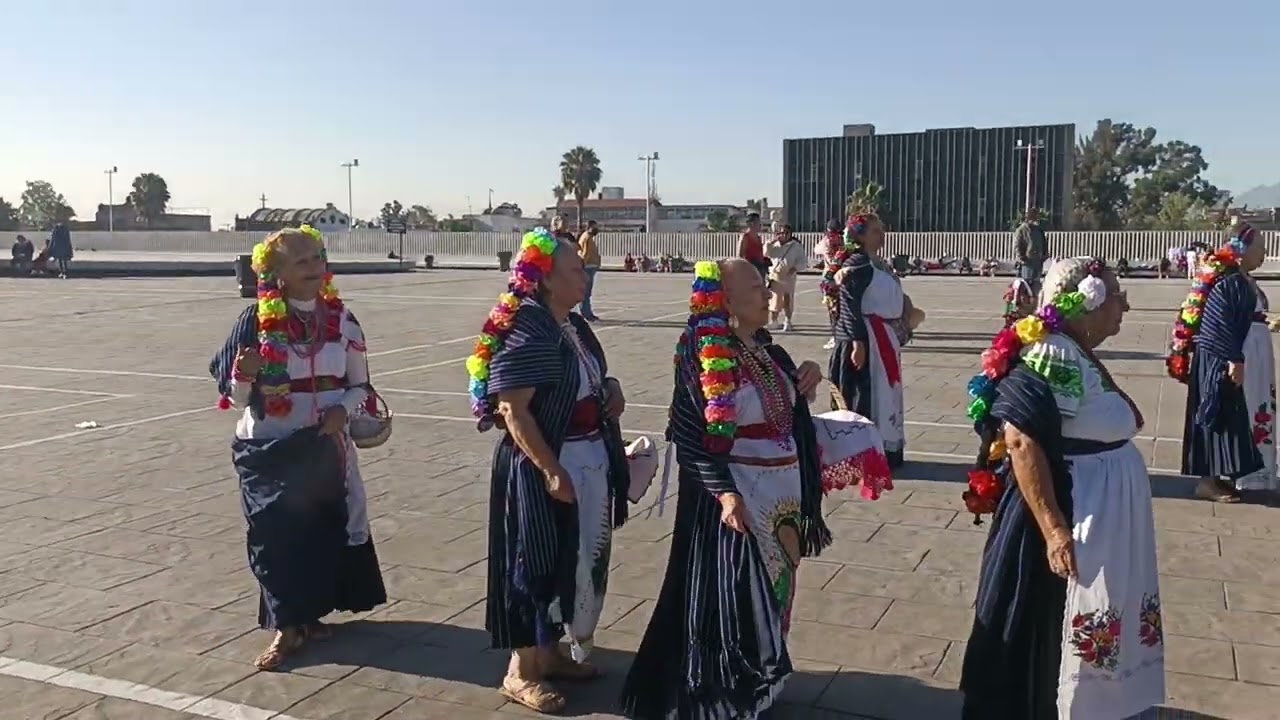 12. Domingo 1 marzo 2026 Veneración Tonāntsin y Salutaciones #travel #turismo #cultura #cdmx_oficial