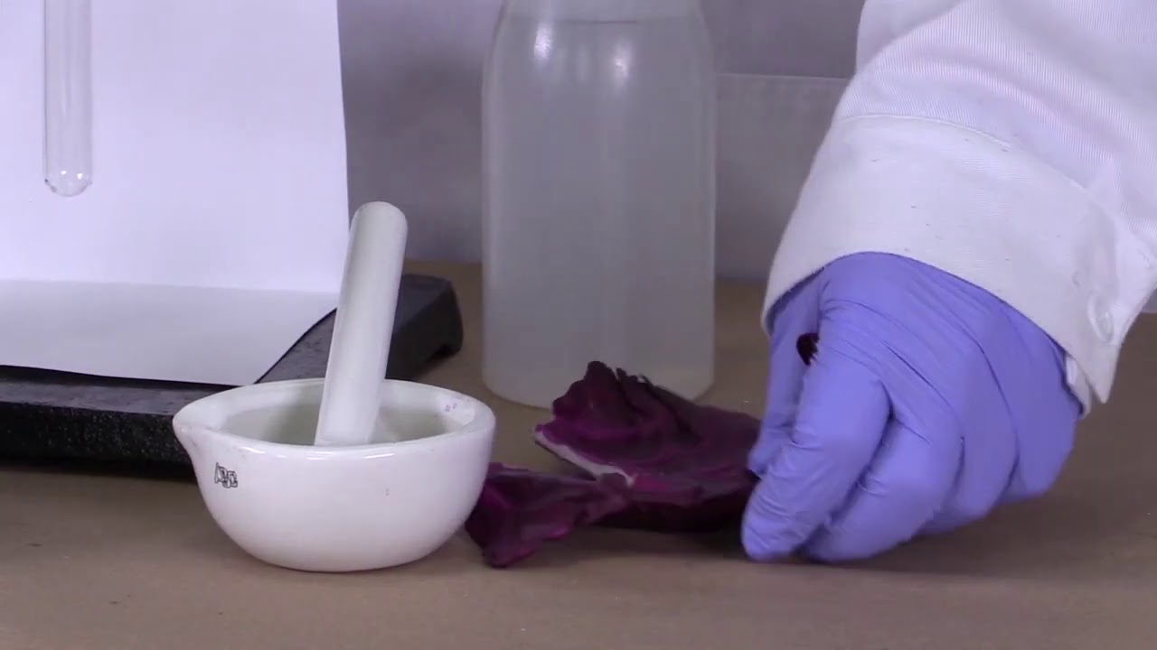 RECONOCIMIENTO DE MATERIALES Y OPERACIONES BÁSICAS DE LABORATORIO