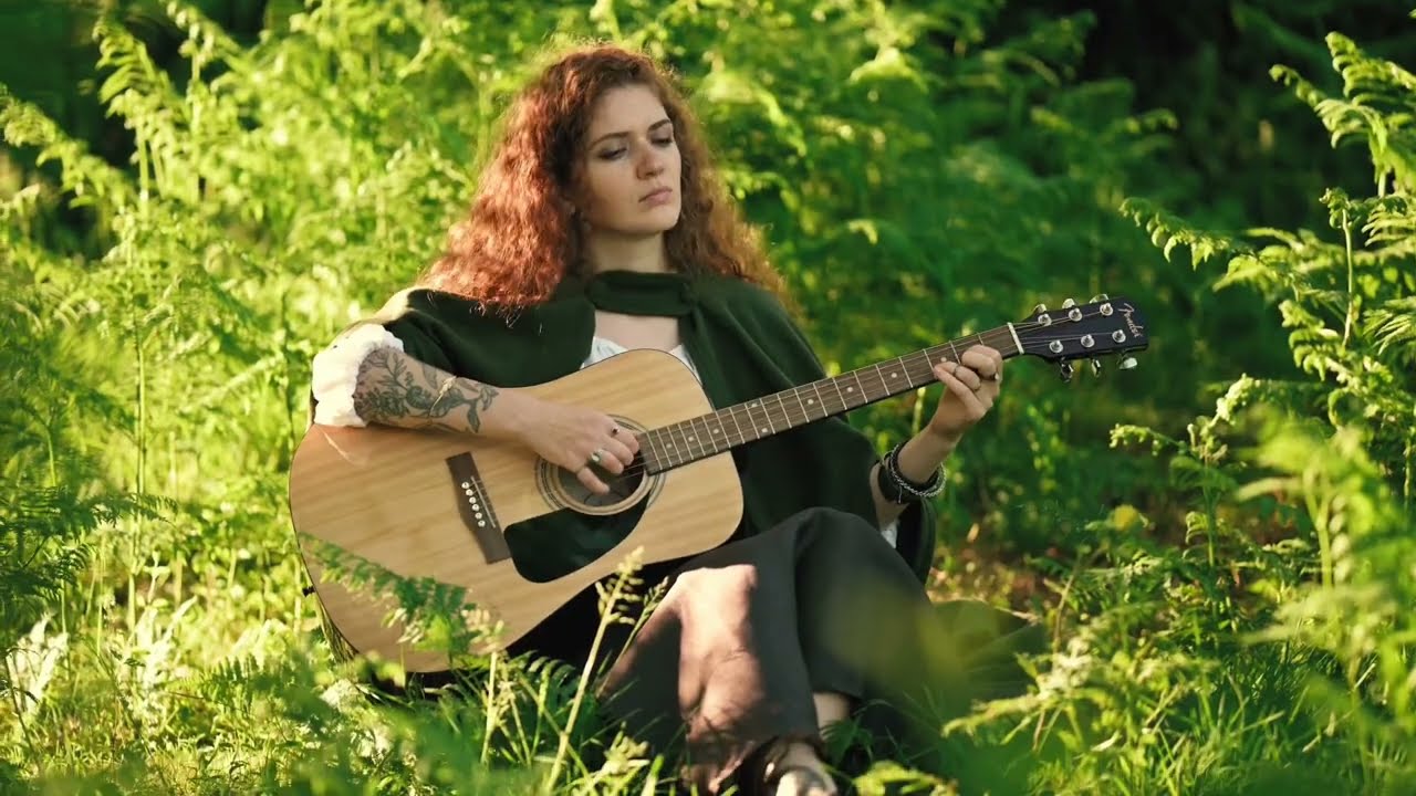Lord Of The Rings - The Shire Theme (cover by LITW)