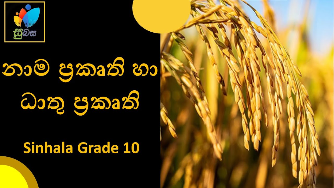 Sinhala Grade 10  - Naama Prakurthi Haa Dhathu Prakurthi | සිංහල - නාම ප‍්‍රකෘති හා ධාතු ප‍්‍රකෘති