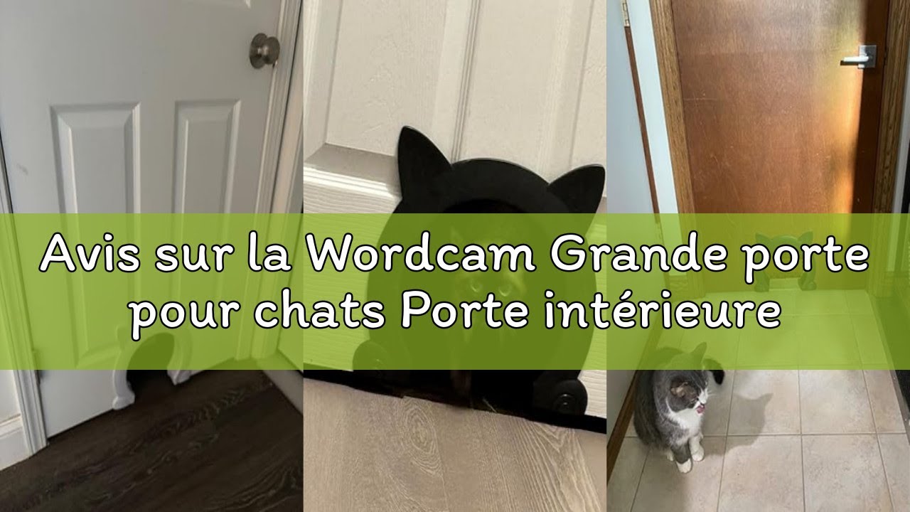 Avis sur la Wordcam Grande porte pour chats Porte intérieure XL, porte intérieure pour chats, portes