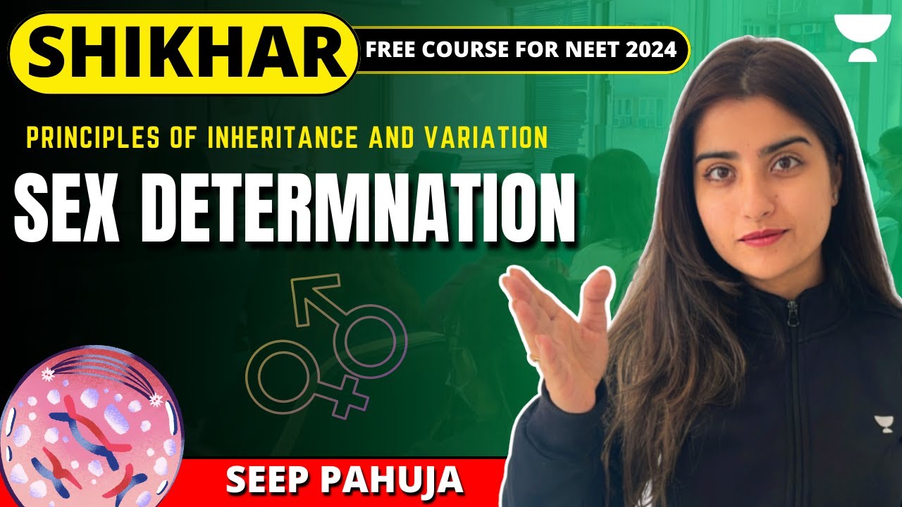 Sex Determination & Mutation | L7 | Principles of Inheritance & Variations | NEET 2024 | Seep Pahuja