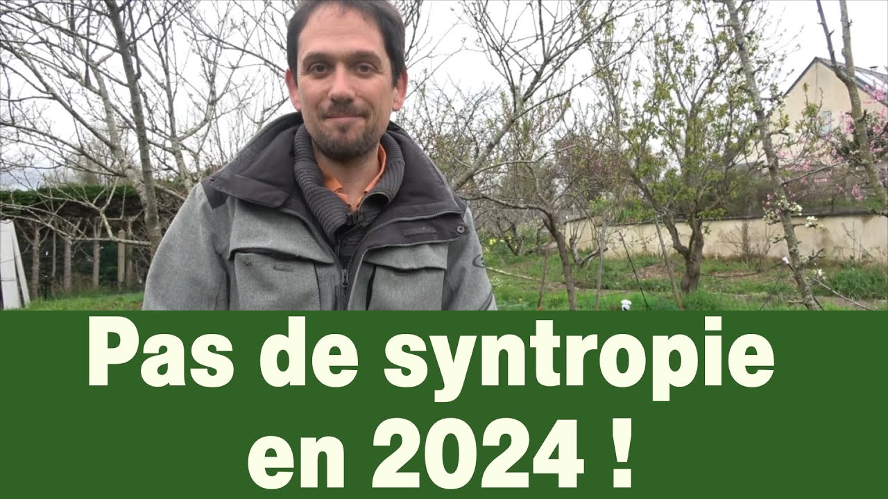 Es-tu fait pour la Syntropie ?