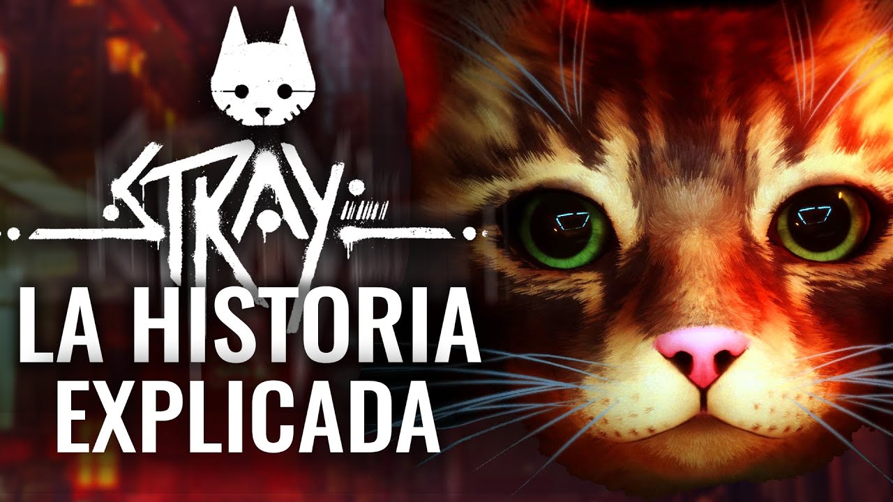 STRAY - LA HISTORIA OCULTA Y FINAL EXPLICADO