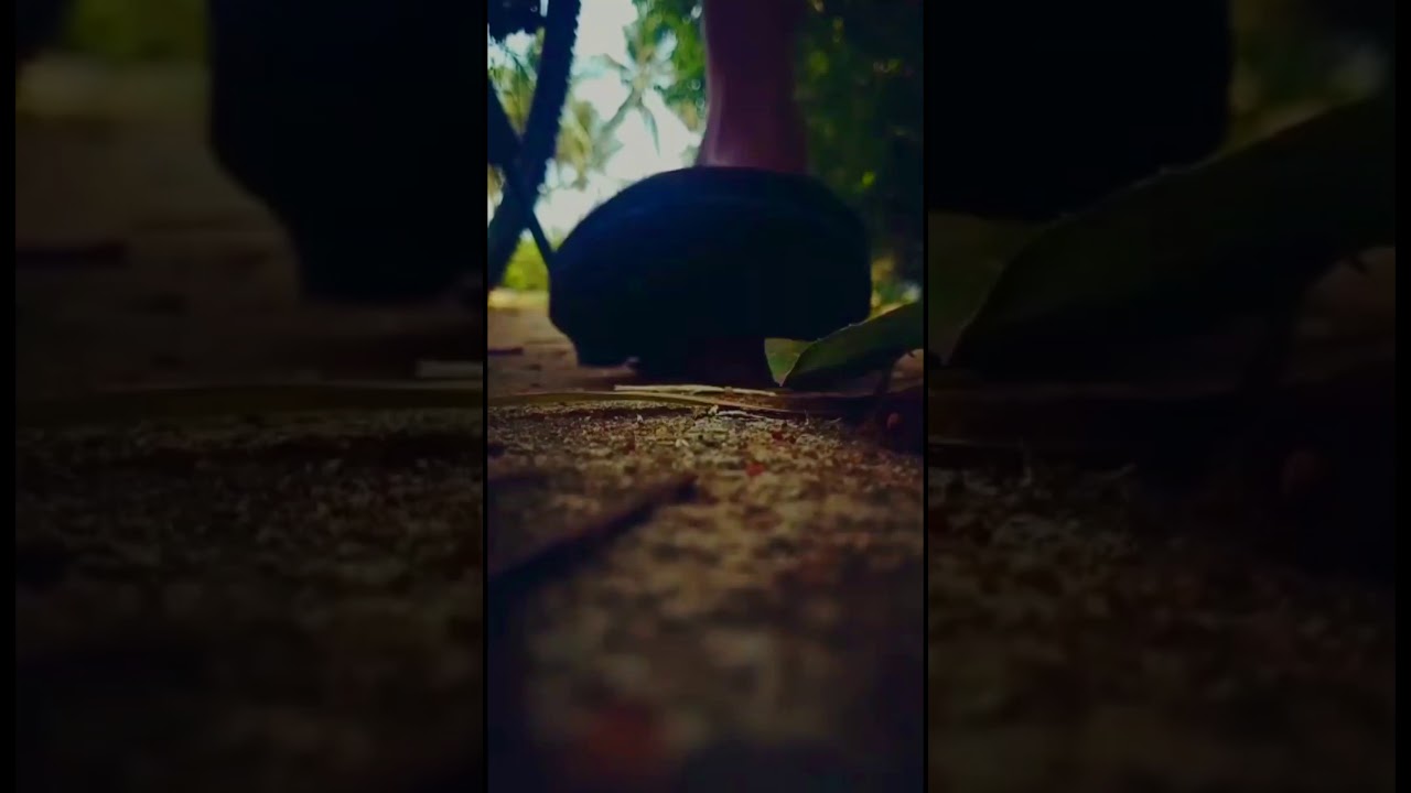 THE CHANTHAR CIRCLE OFFICIAL TRAILER | f.t akshay naik and shabareesh naik | short film