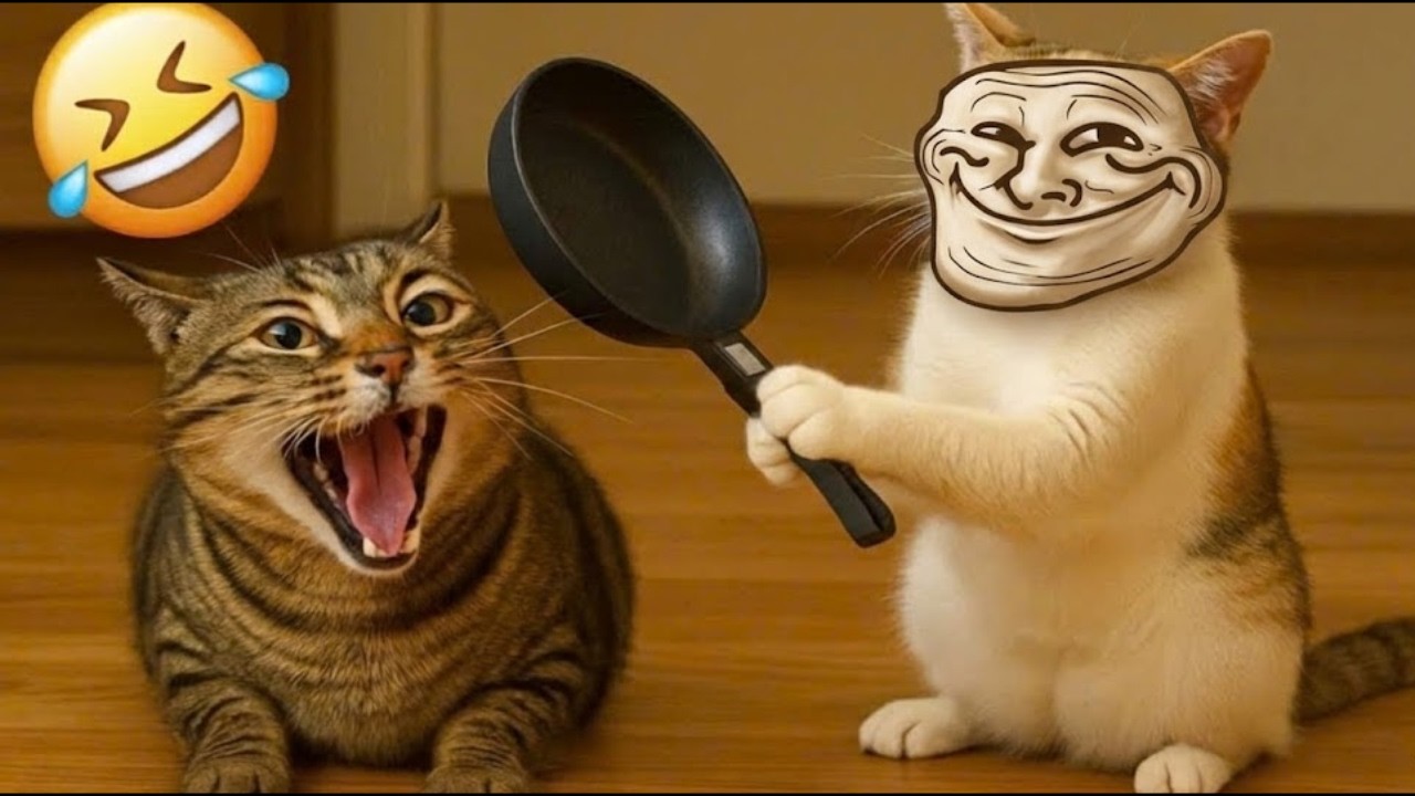 Funniest Cats and Dogs Clips 2026😼🐶Try Not To Laugh😜The Funniest Moments Ever 🐶🍗🤣 part 5