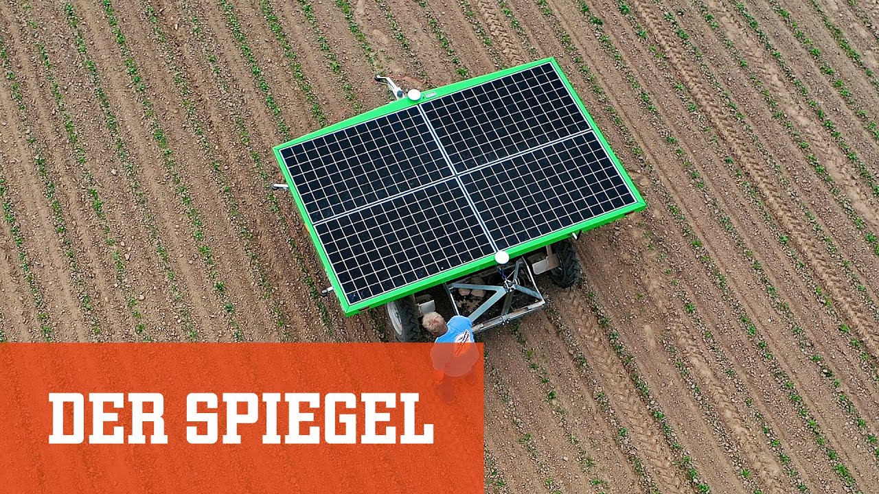 Roboter in der Landwirtschaft: Ist das eine Rübe oder kann das weg? | DER SPIEGEL