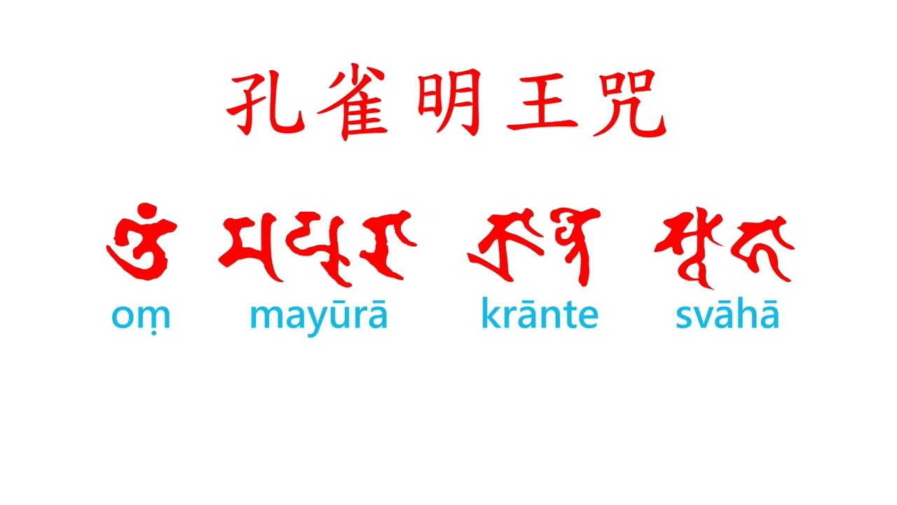 孔雀明王咒