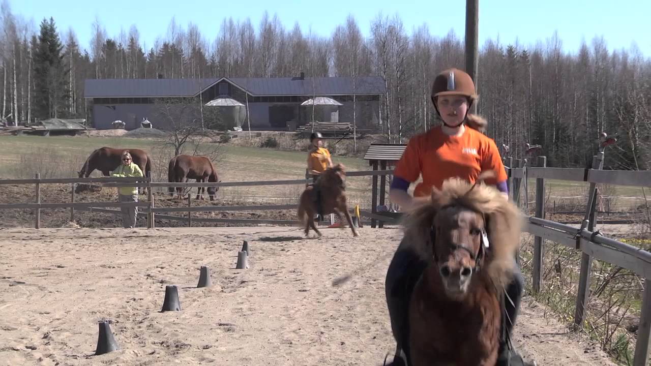 Intona liikkeelle - Aamuyön Hevostila