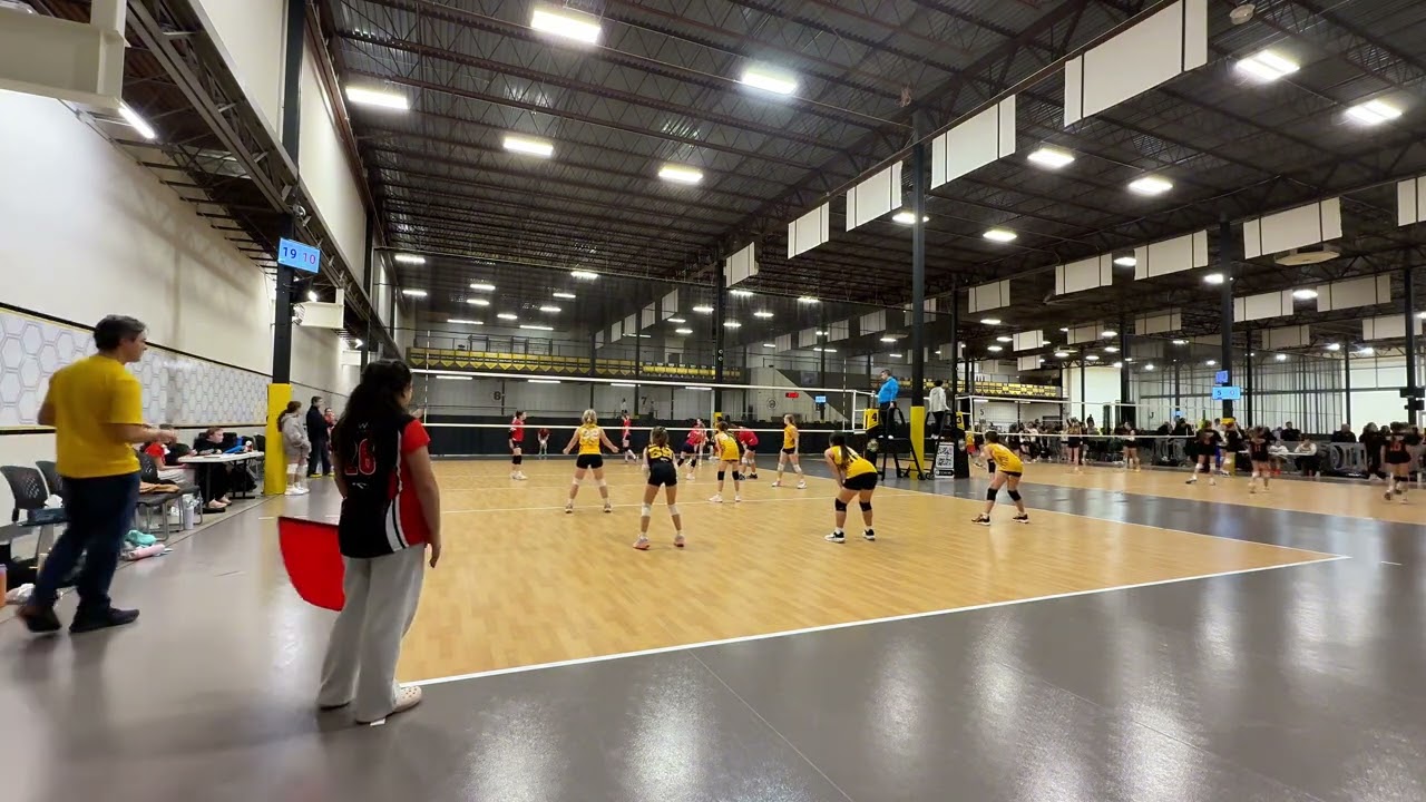 Sting 11 -White VS 360 VBA 12-1