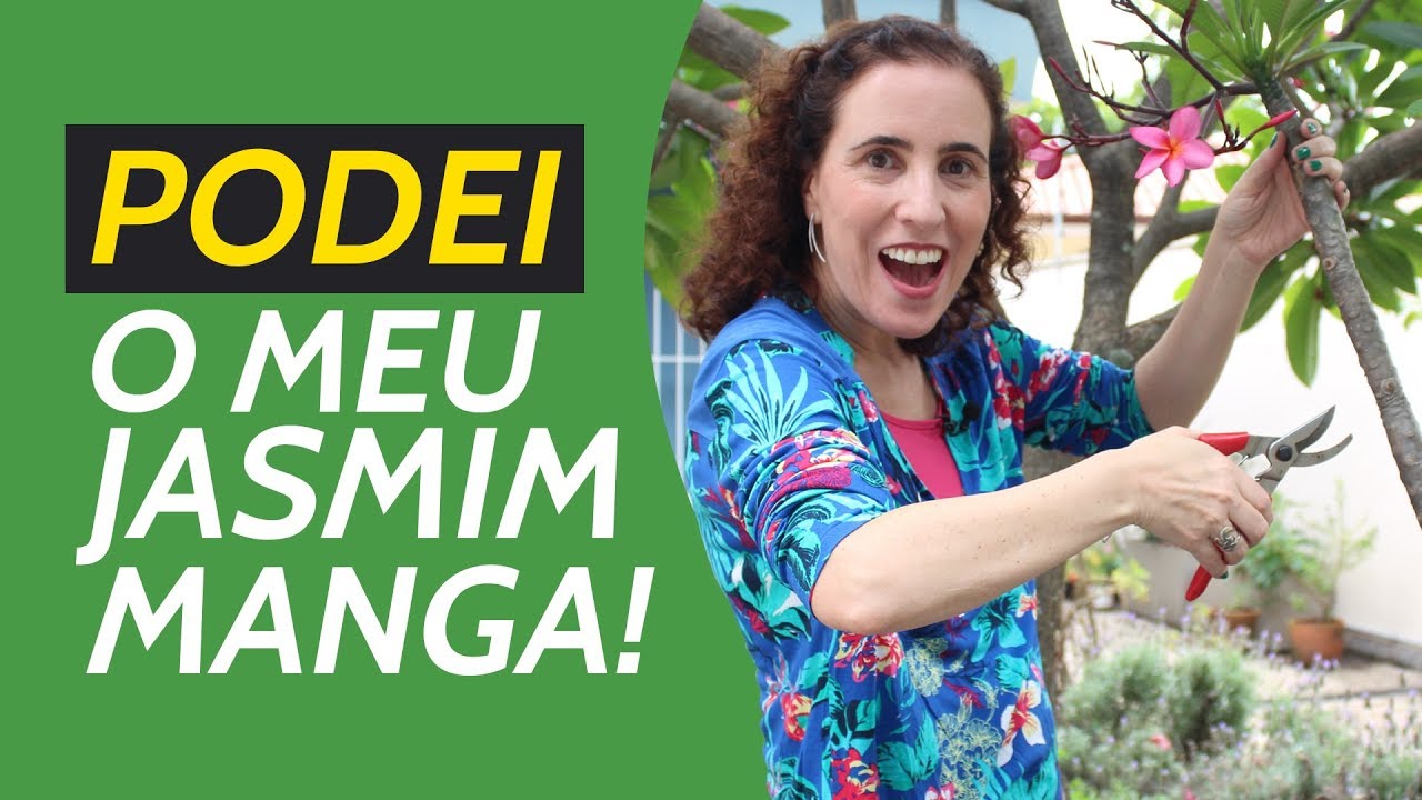 PODEI MEU JASMIM MANGA! VEJA COMO FICOU! | Nô Figueiredo