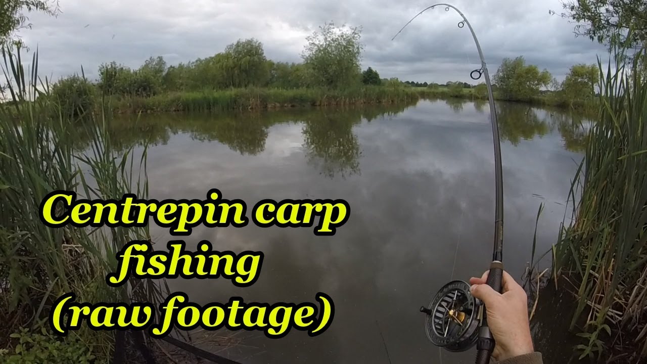 Centrepin carp float fishing (raw footage)