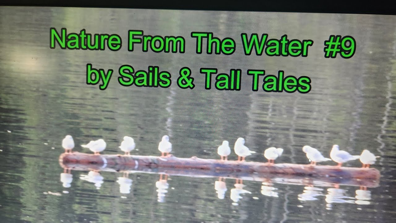Nature From The Water # 9