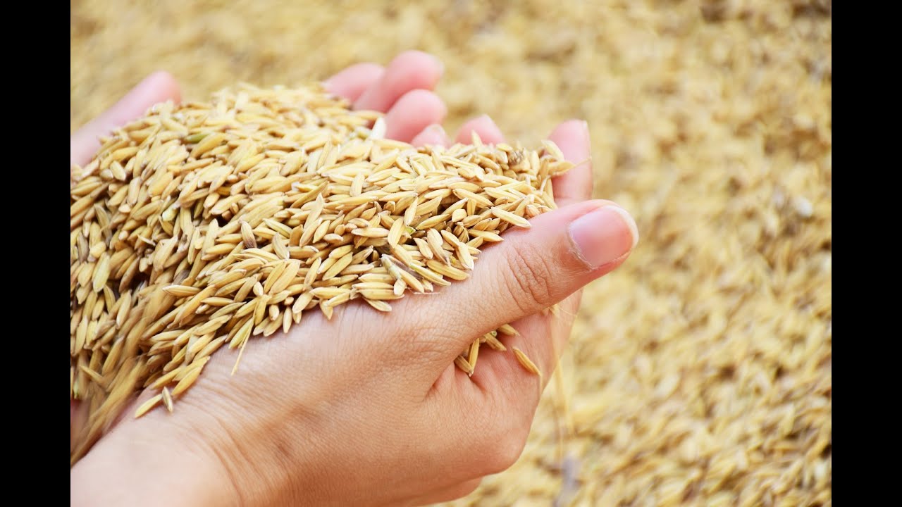 Food and Nutrition Security in the Age of COVID-19