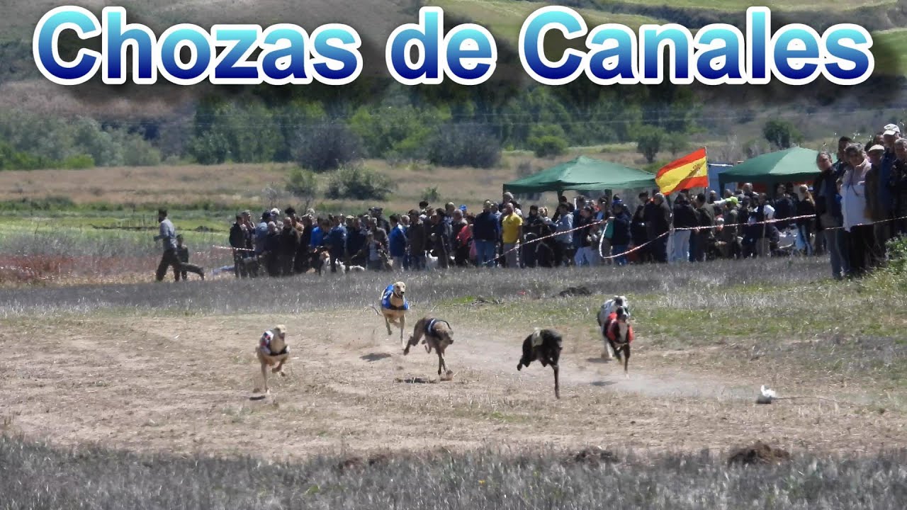 Carreras de regates en Chozas de Canales, abril 2022