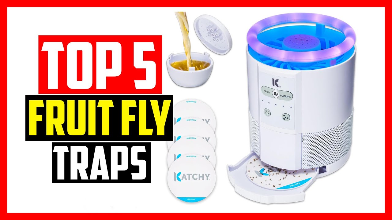 Top 5 Best Fruit Fly Traps of 2025