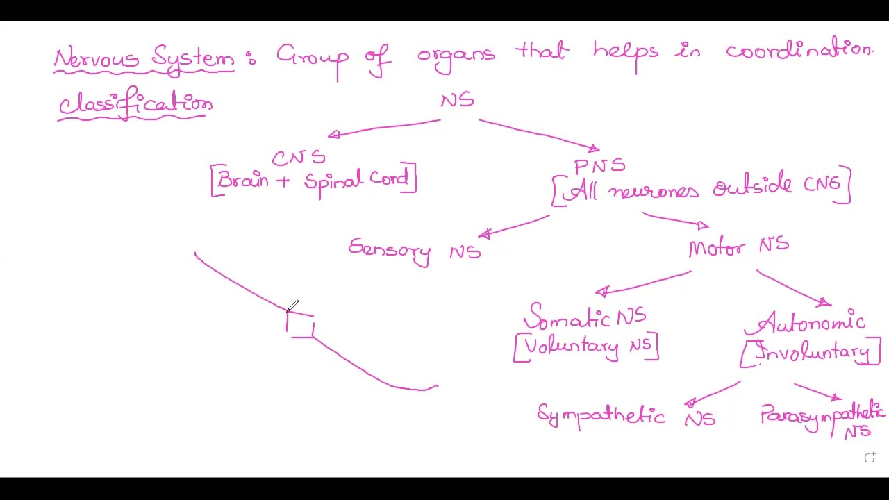 Lecture 78 part 2