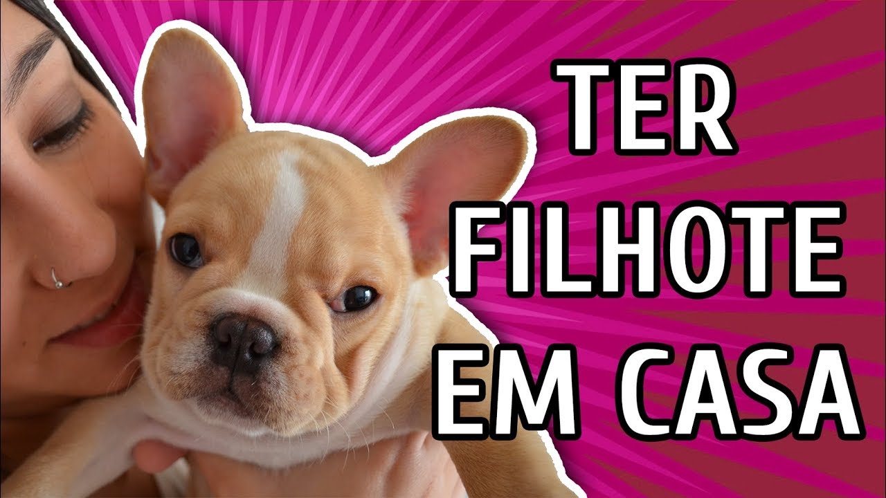 O QUE NINGUÉM TE CONTA SOBRE TER UM FILHOTE!