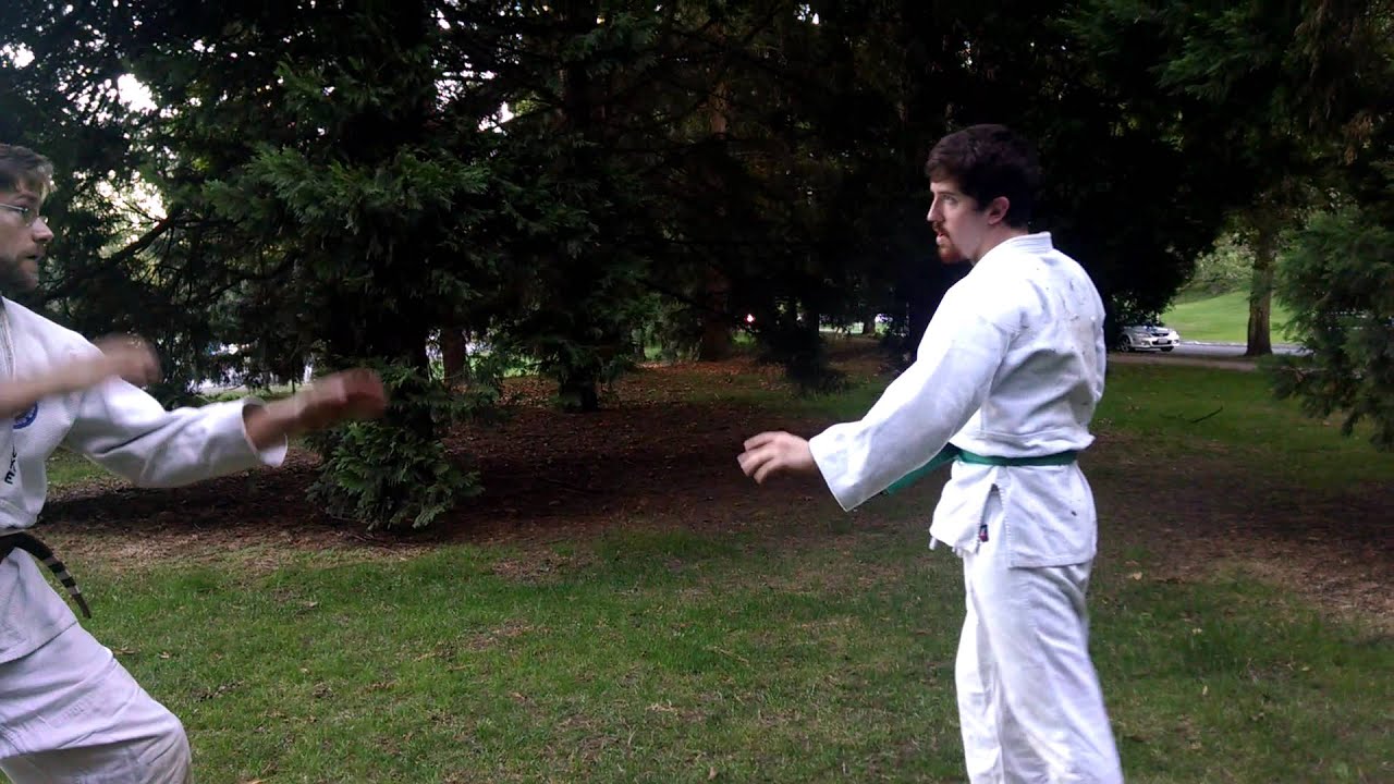 Danzan Ryu Blue belt requirements demo.