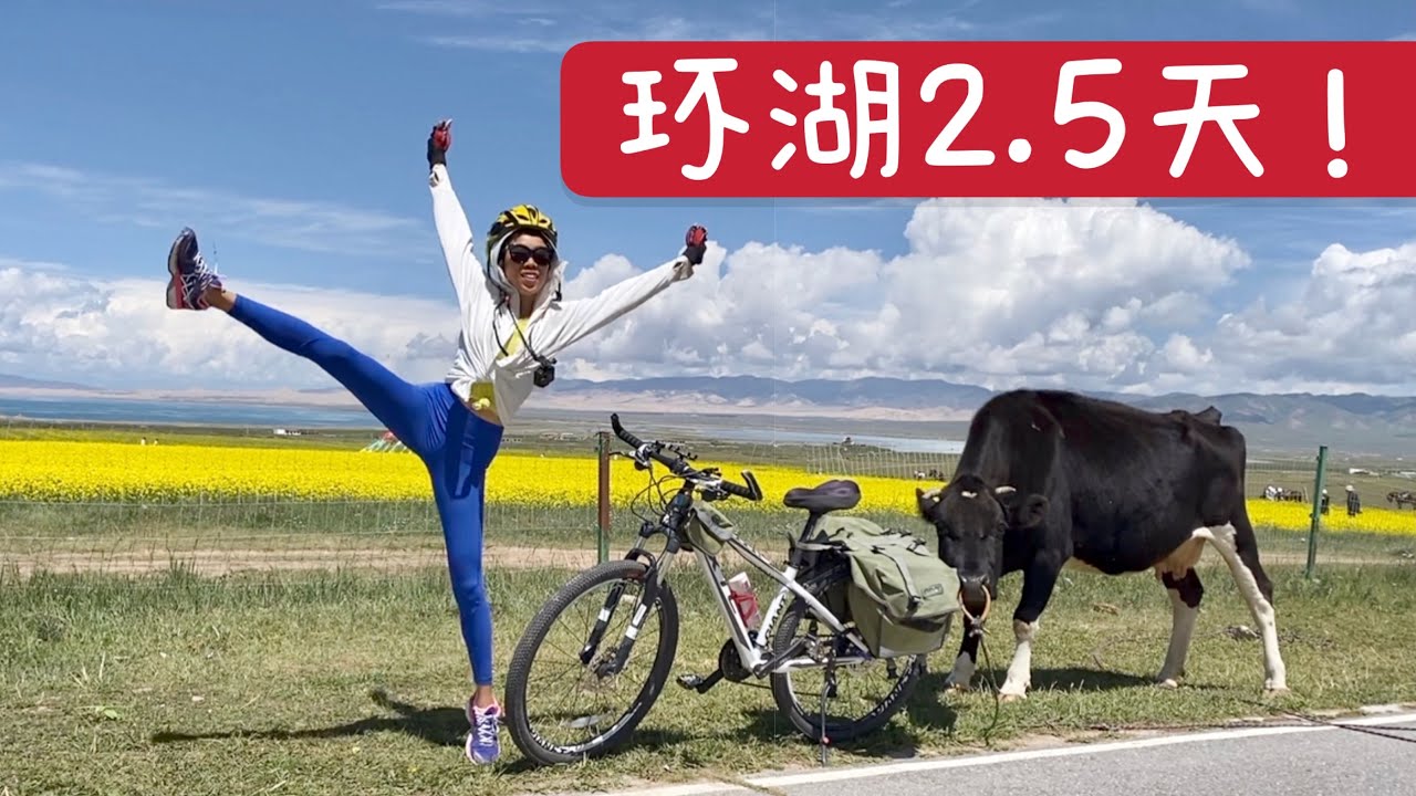环青海湖骑行｜我被蜜蜂蛰了（上）床车自驾Ep. 27｜360km cycling vlog