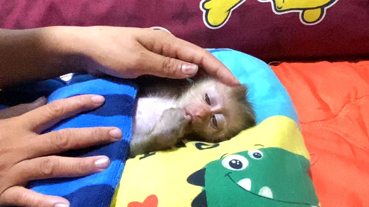 comfortable!!Mom put  LIORA, to sleep on a soft pillow and covered her with a warm blanket.