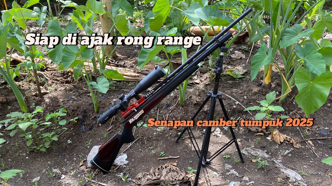 2025 UJI TES GROPING⁉️ CAMBER TUMPUK KALIMOSODO 5000psi SIAP LONG RANGE BOLOOO