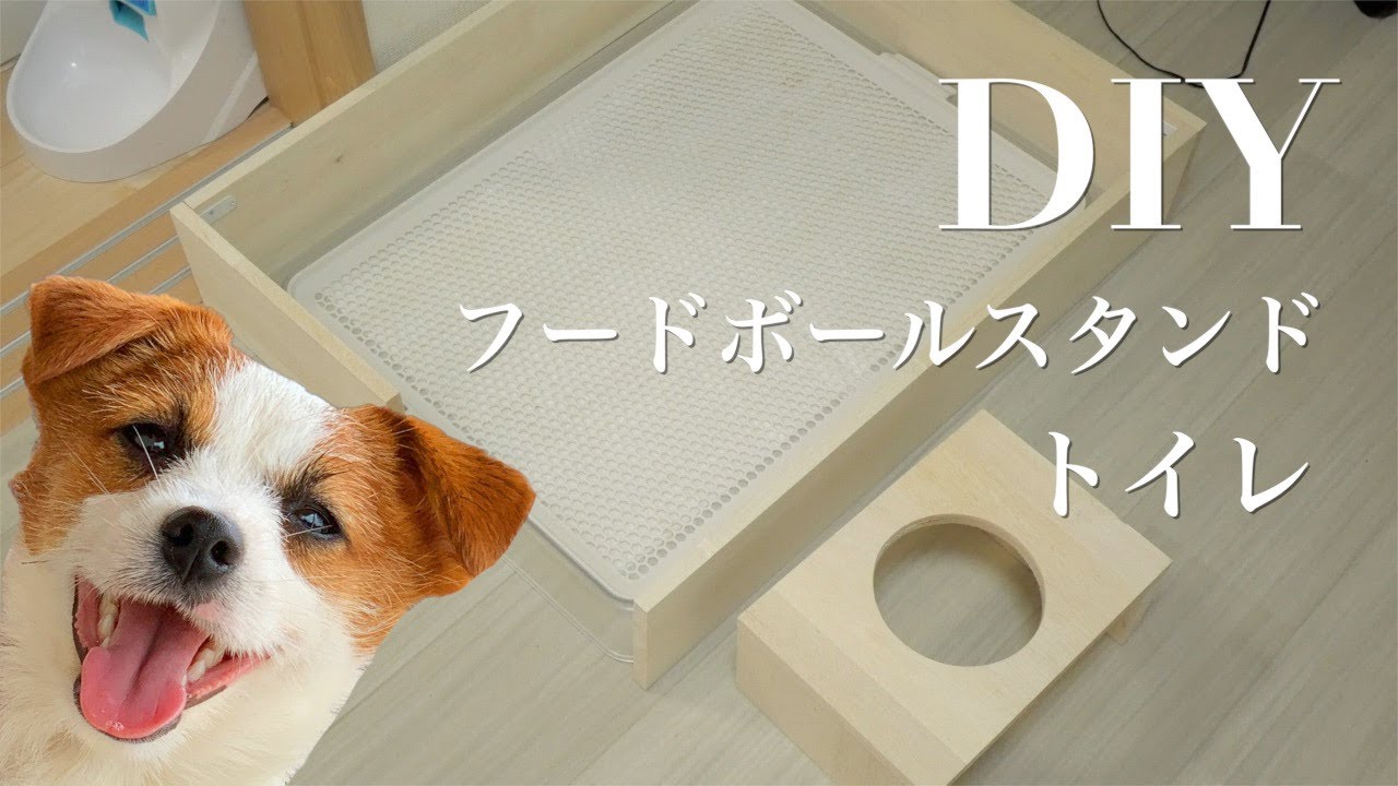 子犬がトイレをはみ出すのでDIYしてみました/ジャックラッセルテリア/puppy