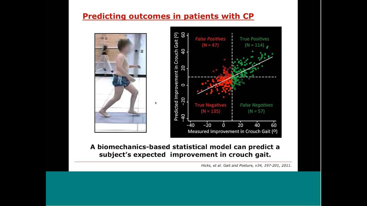Webinar: Best Practices for Verification and Validation of Musculoskeletal Models and Simulations