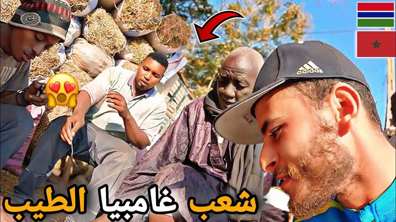 302 |🥰 أعجبتني معاملة الناس في غامبيا😱 دخلت سوق الماشية والأبقار ثمن رخيص جدا🇲🇦🇬🇲