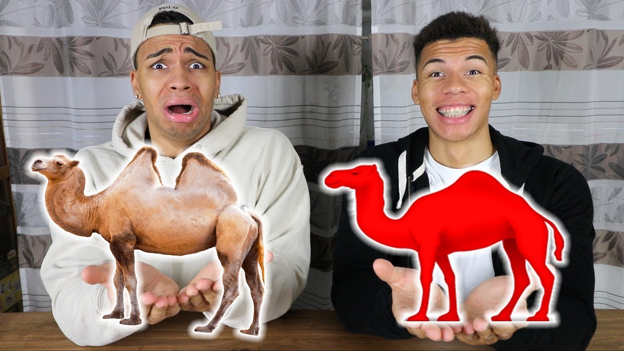 GUMMI ESSEN vs ECHTES ESSEN 22 !!! | Kelvin und Marvin