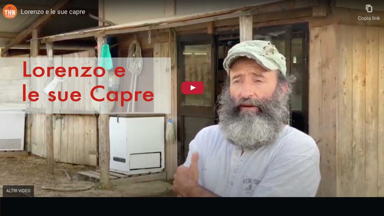 Lorenzo e le sue capre