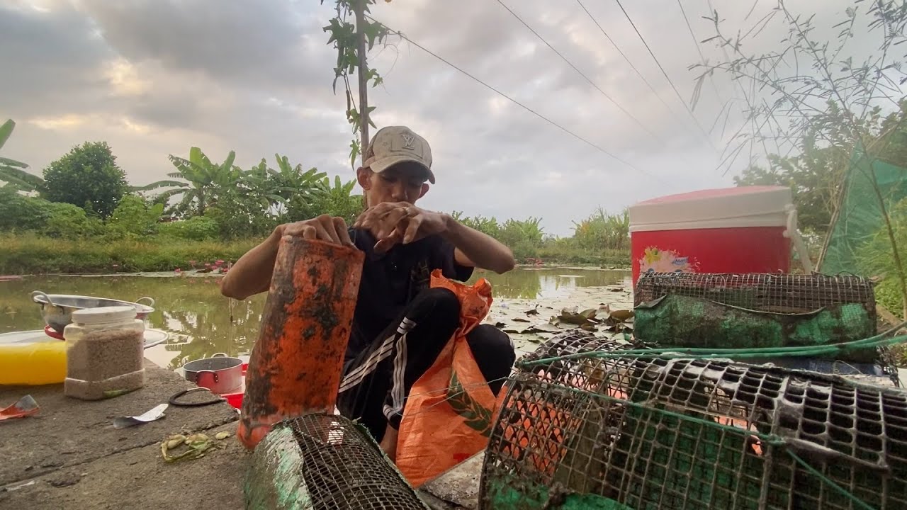đặt ếch bãi cũ và cái kết .....#vlogs