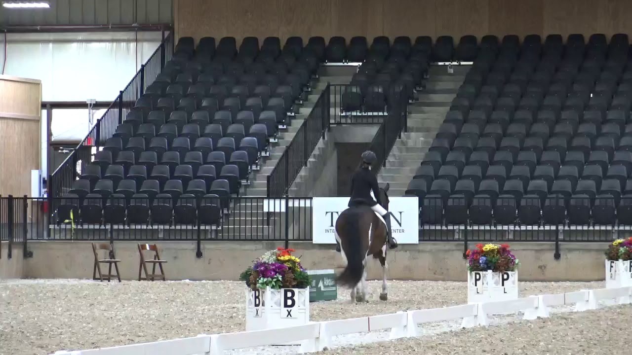 Genevieve - 2020 Para Dressage Championships