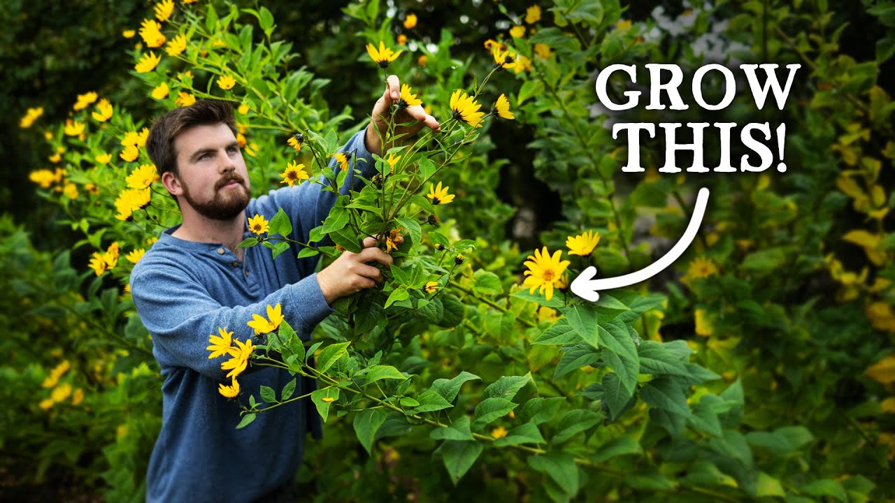 7 Underrated Crops Perfect for Self-Sufficiency!