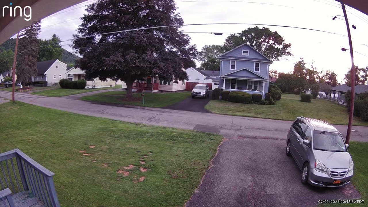 MORE WALKING DOG WITH 