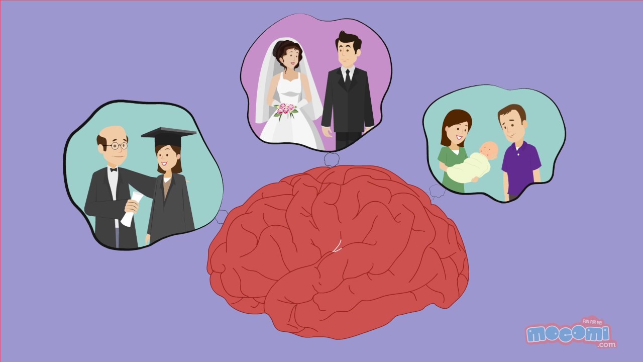 How are Memories Stored and Retrieved? Curious Questions with Answers | Educational Videos by Mocomi