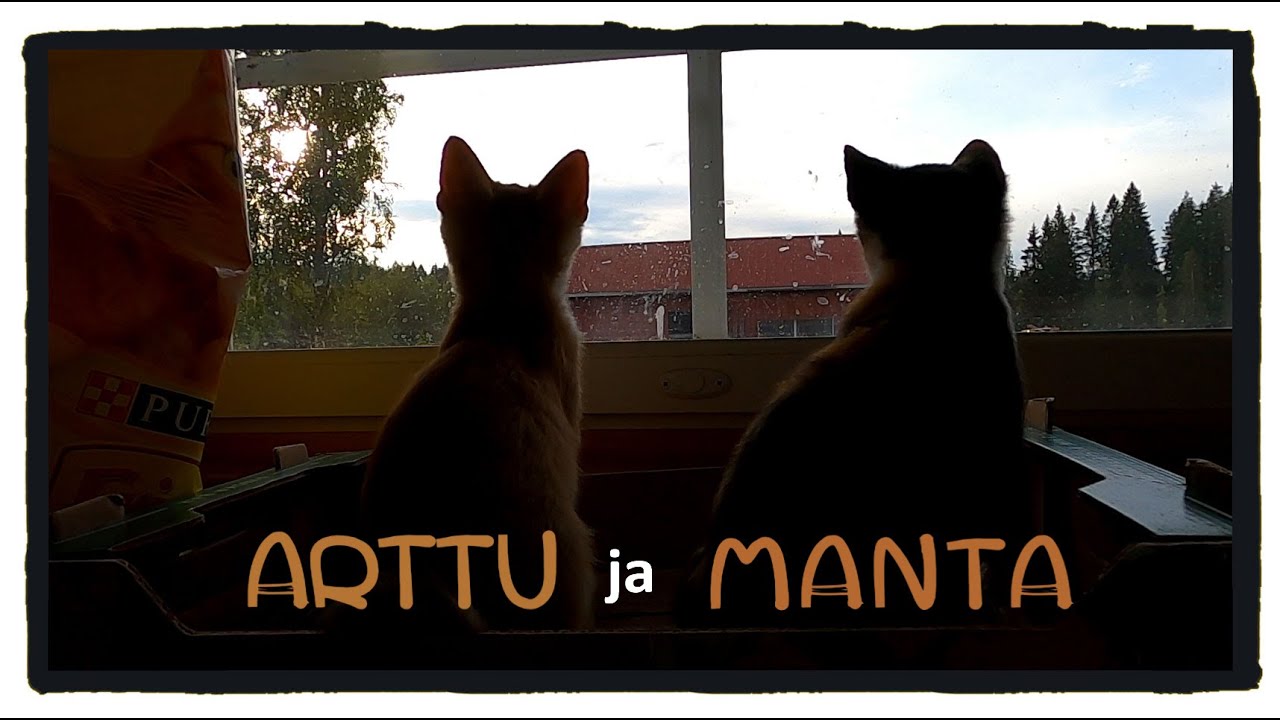 Riiviöt tuli taloon