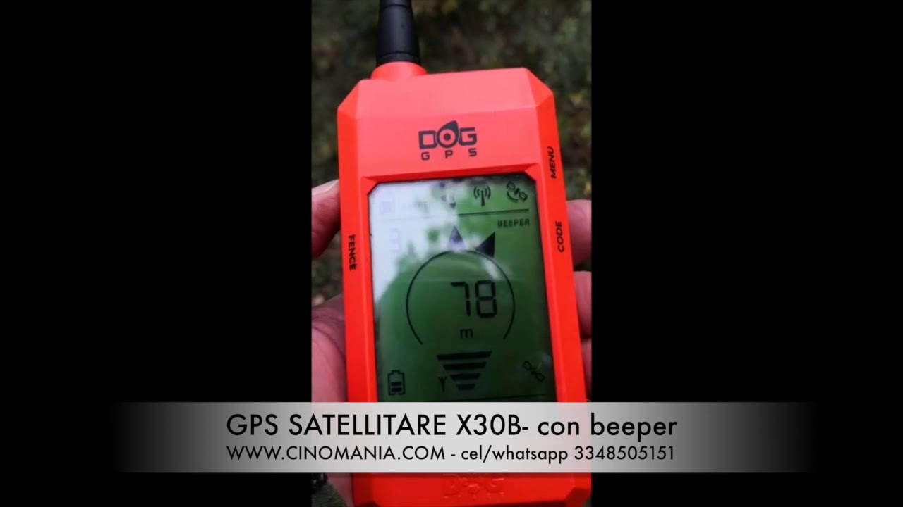 Satellitare e beeper Dogtrace X30B, prova in bosco